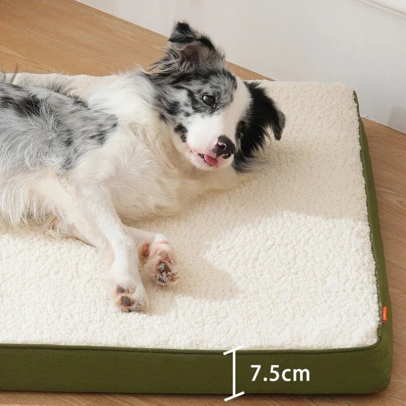 Pet Dog Pad Detachable Washable Be Universal in All Seasons Moistureproof Dog Cushion High Elastic Sponge Bespoke Pet Cushion