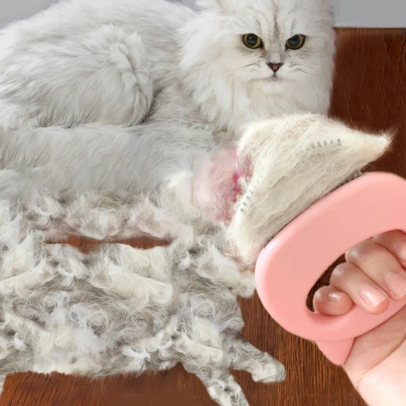 Dog Comb Tool Pet Hair Remover Brushs Cat for Short Hairs Kappers Benodigdheden Accessories Small Things for Kitten Lice Comb